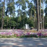 Благоустройство в парке Партизанской славы отремонтируют