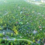 Проект Генплана Киева уделил внимание левому берегу