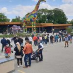 Киевский зоопарк будут ремонтировать пять лет