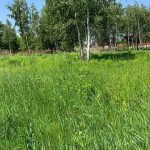 Суд не дал застроить луга в Конча-Заспе