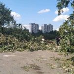 Суд запретил строительство в Протасовом Яру