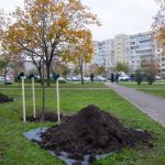 Киев присоединился к празднику озеленения