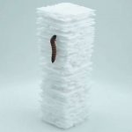 «Небоскреб червей» поможет решить проблему пластиковых отходов