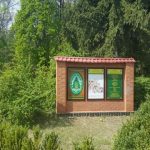 Под Киевом из незаконного пользования изъяли 1,5 га леса