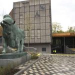 Реконструкция киевского зоопарка остановилась