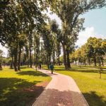 Зеленые зоны постепенно заполняют весь Киев