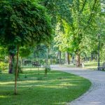 Территория зеленых зон в Киеве растет