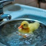 Опубликованы тарифы на горячую воду за май 2021 года