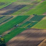 Нотариусы будут проверять покупателей земли