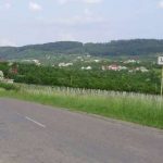 Киевская компания кинула закарпатские дороги