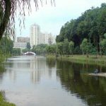 Коцюбинское пытается захватить Голосеевский парк